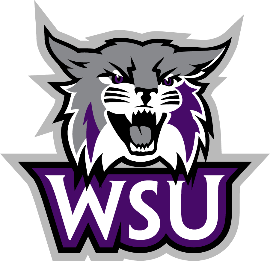 Weber State Wildcats 2012-Pres Secondary Logo v6 iron on transfers for clothing